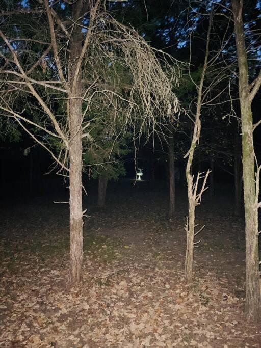 Bastrop Tiny Disc Golf Retreat Villa Dış mekan fotoğraf