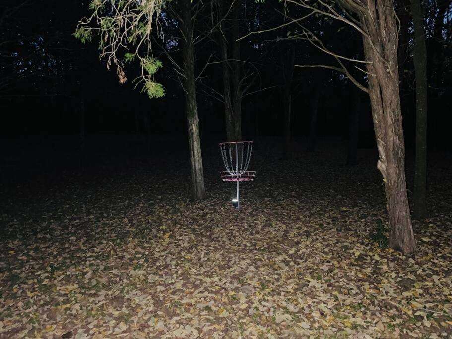 Bastrop Tiny Disc Golf Retreat Villa Dış mekan fotoğraf